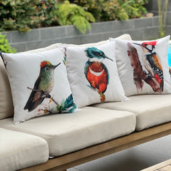 SET 3 FUNDAS ESTAMPADAS - AVES DEL BOSQUE + CUENTA GRATIS