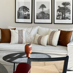 SET 5 FUNDAS PREMIUM ORIGEN + REGALO